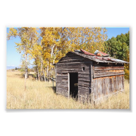 Lonely Little Shed Foto Afdruk (Voorkant)