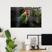 Lonely Lovebird Poster (Thuiskantoor)