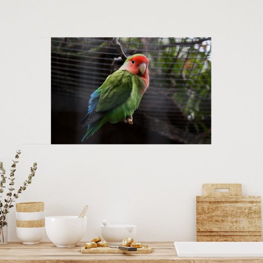 Lonely Lovebird Poster (Keuken)