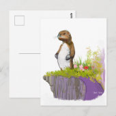 Lonely Otter Briefkaart (Voorkant / Achterkant)
