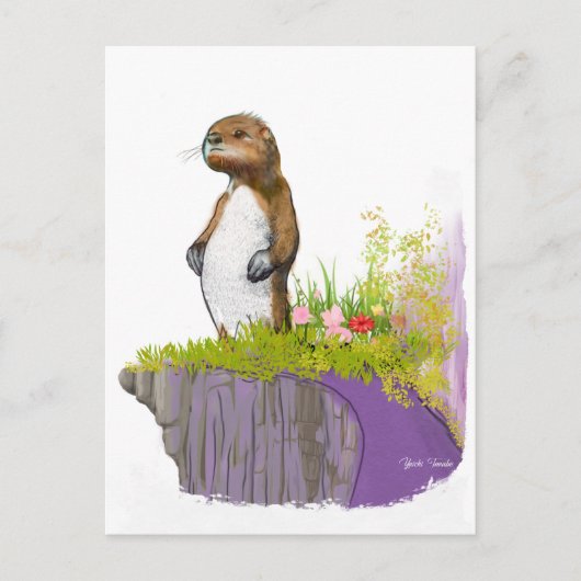 Lonely Otter Briefkaart (Voorkant)