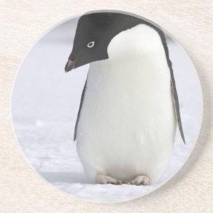 Lonely Penguin Onderzetter