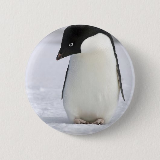 Lonely Penguin Pin Ronde Button 5,7 Cm (Voorkant)