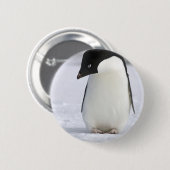 Lonely Penguin Pin Ronde Button 5,7 Cm (Voorkant /achterkant)