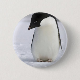 Lonely Penguin Pin Ronde Button 5,7 Cm
