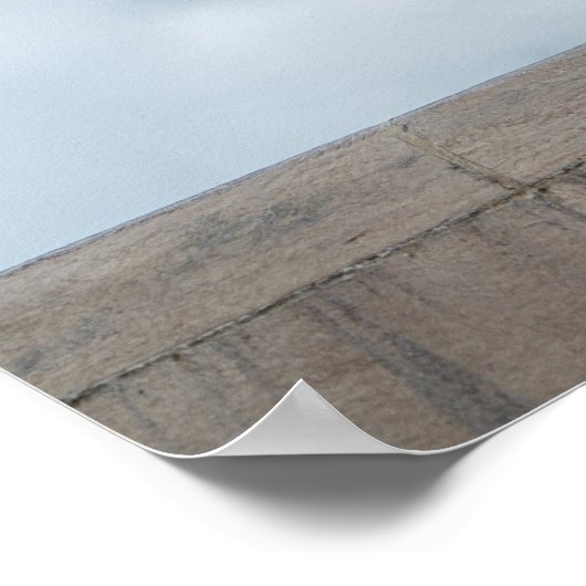 Lonely Pigeon by Dániel Oláh Poster (Hoek)