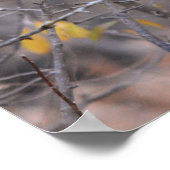 Lonely Red Cardinal beroemd gemaakt door Herfst Au Poster (Hoek)