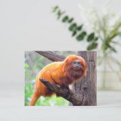 Lonely Red Leaf Monkey Briefkaart (Staand voorkant)