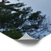 Lonely River Dock Poster (Hoek)