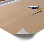 Lonely Seagull op Kiawah Island Beach Poster (Hoek)