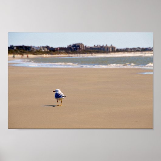 Lonely Seagull op Kiawah Island Beach Poster (Voorkant)
