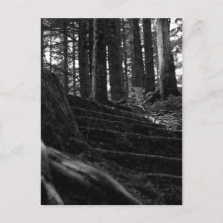 Lonely Stair Way Briefkaart