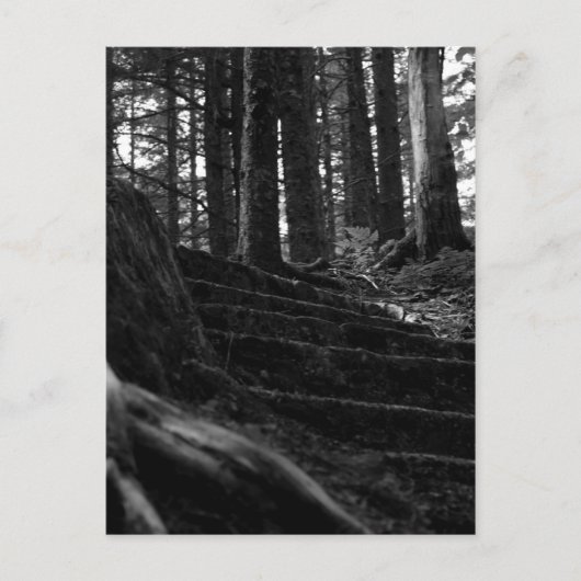 Lonely Stair Way Briefkaart (Voorkant)