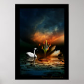 Lonely Swan Poster (Voorkant)