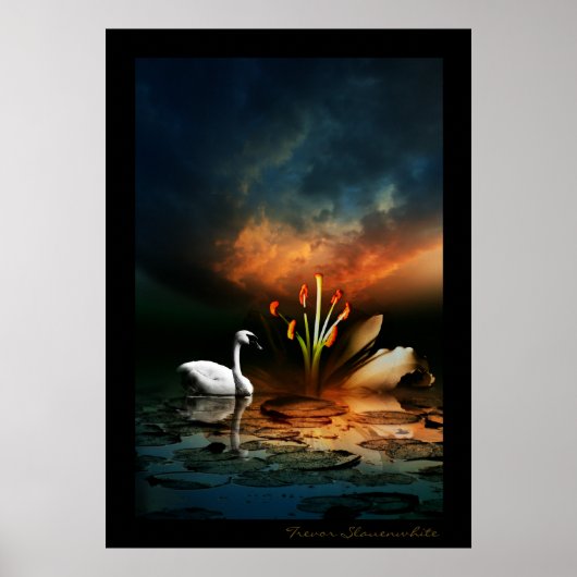 Lonely Swan Poster (Voorkant)