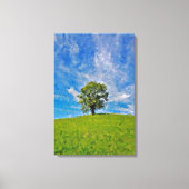Lonely Tree – Serene grasveld Canvas Afdruk (Voorkant)