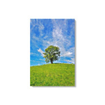 Lonely Tree – Serene grasveld