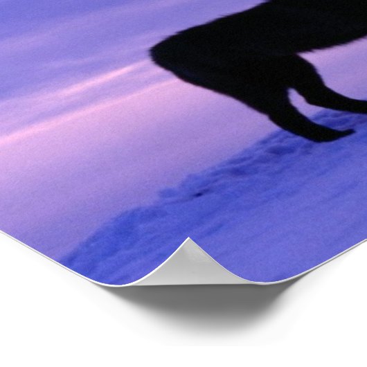 Lonely Wolf Poster (Hoek)