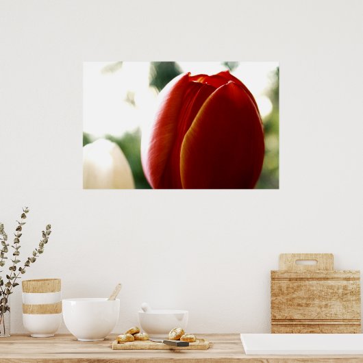 LoneRed Tulip Poster (Keuken)