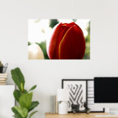 LoneRed Tulip Poster (Thuiskantoor)
