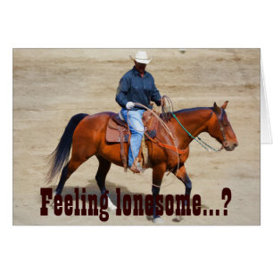 Lonesome Cowboy en zijn paard