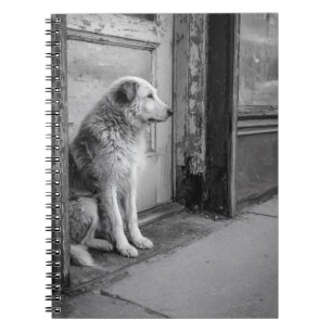 Lonesome Dog Weathered Door Notitieboek