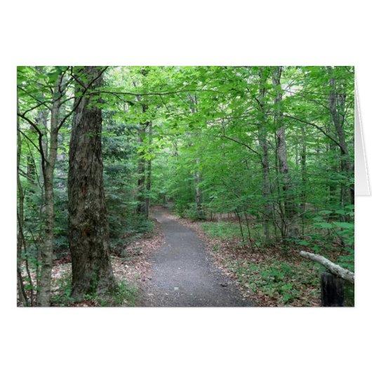 Lonesome Lake Trail in New Hampshire (Voorkant Horizontaal)