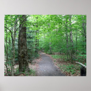Lonesome Lake Trail in New Hampshire Poster
