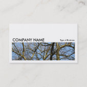 Long Afbeelding 0165 - Branches Visitekaartje (Voorkant)