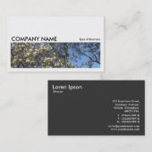 Long Afbeelding 0179 - Magnolia Tree in Blossom Visitekaartje (Voorkant / Achterkant)