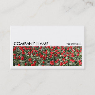Long Afbeelding 0182 - Red Tulps and Primroses Visitekaartje