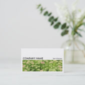 Long Afbeelding 0196 - Sedum (herfst Joy) Visitekaartje (Staand voorkant)