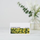 Long Afbeelding 0231 - Yellow Daisies Visitekaartje (Staand voorkant)