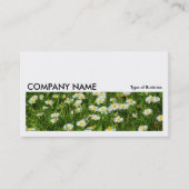 Long Afbeelding 0235 - Daisy Meadow Visitekaartje (Voorkant)