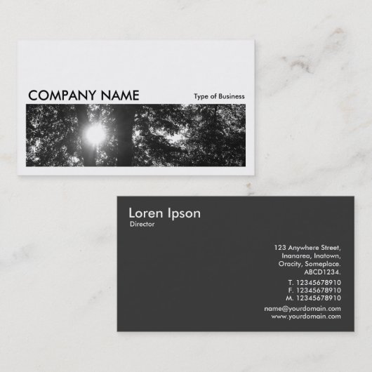 Long Afbeelding 057 - Sun Through Trees B&W Visitekaartje (Voorkant / Achterkant)