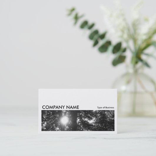 Long Afbeelding 057 - Sun Through Trees B&W Visitekaartje (Staand voorkant)