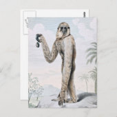 Long Armed Gibbon Ape Art Briefkaart (Voorkant / Achterkant)