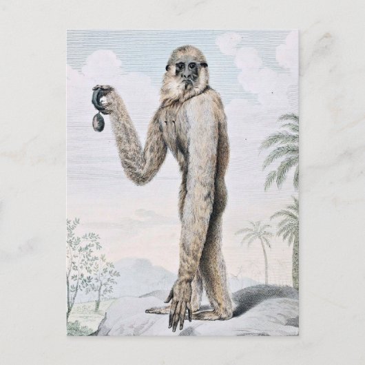 Long Armed Gibbon Ape Art Briefkaart (Voorkant)