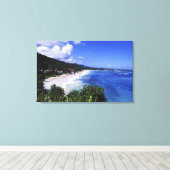 Long Bay, Port Antonio, Jamaica Canvas Afdruk (Insitu (Houten vloer))