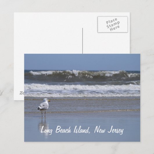 Long Beach Island, NJ Briefkaart (Voorkant / Achterkant)