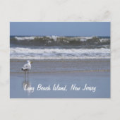 Long Beach Island, NJ Briefkaart (Voorkant)