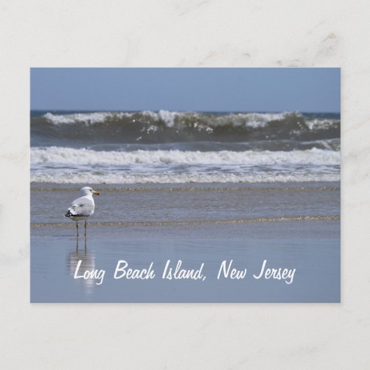 Long Beach Island, NJ Briefkaart (Voorkant)