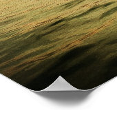 Long Beach Island Sunset Poster (Hoek)