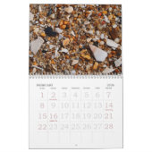 Long Beach Kalender (Feb 2026)