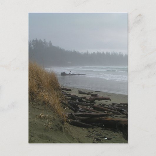 Long Beach, Tofino, Vancouver Island Briefkaart (Voorkant)