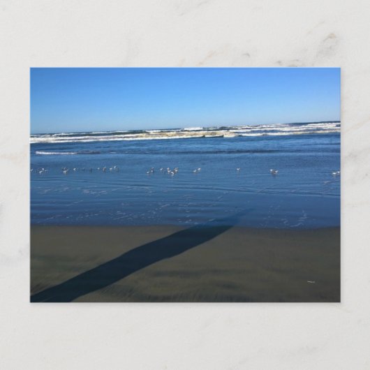 Long Beach, Washington Briefkaart (Voorkant)