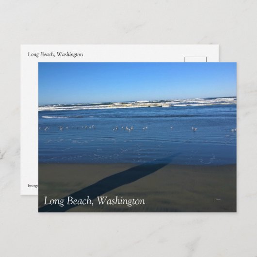 Long Beach, Washington Briefkaart (Voorkant / Achterkant)