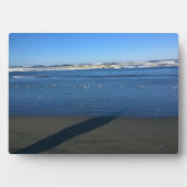 Long Beach, Washington Fotoplaat (voorkant)