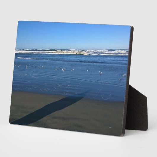 Long Beach, Washington Fotoplaat (Zijkant)