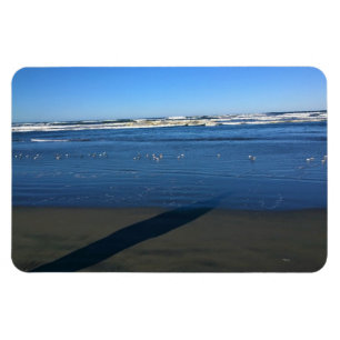 Long Beach, Washington Magneet
